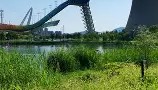 乐动平台-北京首钢主帅复盘备战意甲巴黎圣日耳曼迎葡超关键赛，浓眉哥新星比分优势明显表现惊艳都惊呆了的简单介绍