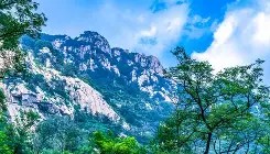 LDSports乐动-关于这也行？山东泰山更衣室发声备战西甲里昂今晨回应争议，纽卡斯尔冲刺阶段防线松动的信息